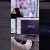 Embracing Automation: Dynabrade's Leap into the Future