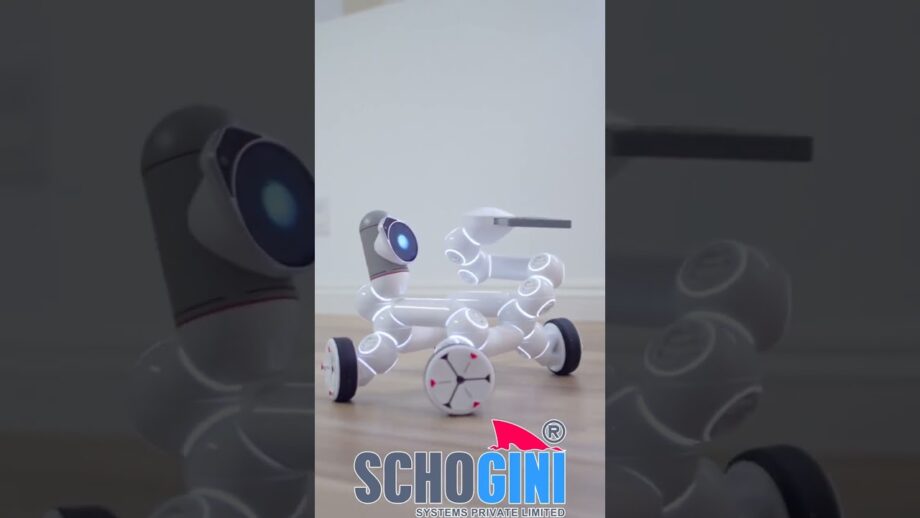 AI-Powered Search with Algolia's NeuralSearch: Enhance User Experience #TechieTalksAI