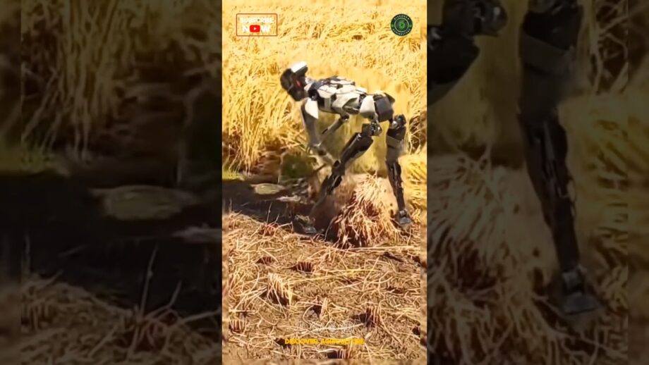 The Future of Agriculture: Meet the Rice Harvesting Robot! #farming #agriculture
