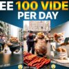 Make $250 Per Day with 100 AI Generated Cat Viral Videos For FREE | YouTube Automation Niches