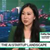 Investing in AI Native Startups