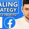 My PROFITABLE Facebook Ads SCALING Strategy 2024 (Shopify Dropshipping)