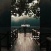 The best AI tool for Instagram automation 🤯🤯 #makemoneyonline #texttovideo #aiediting #sidehustle