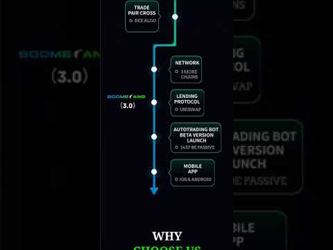 BOOMERANG - ROADMAP - AI CRYPTO ARBITRAGE TRADING SYSTEMS - TOP TEAM ROB BUSER