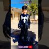 ⚡️Haris Becomes Venom 💥 (But it's Comedy) #funny #venom #shorts #automation  #fahadleghari
