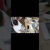 I Tried To Make $10,000 Online With AI Tools. #MakeMoneyOnline #AItools #SideHustle