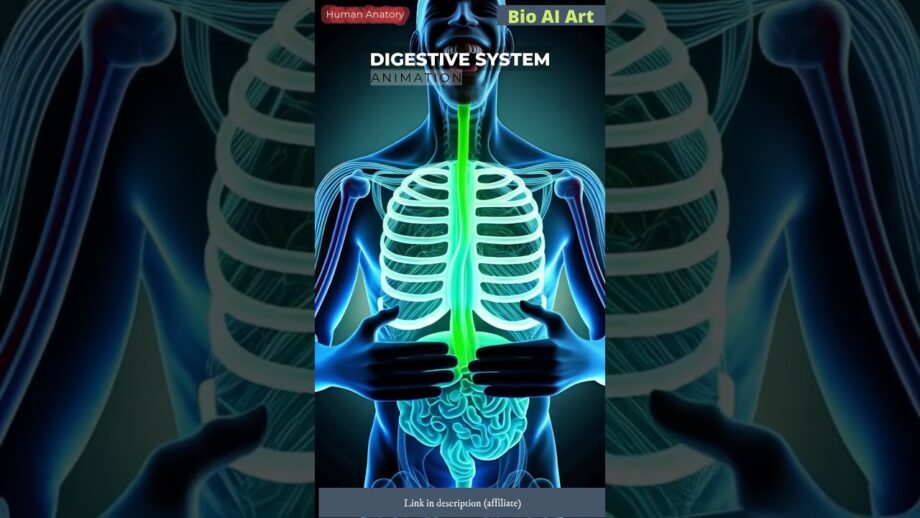 Human Digestive System Animation | Human Anatomy | Bio AI Art | 65