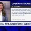 OpenAI to launch open-weight model