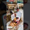 Food’s Big Adventure: A Hero’s Journey to… the Toilet? | Bio AI Art | 01