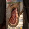 Internal View of Elephant's Digestive System Animation | Animals AI Art | 02