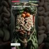 Digestive System Animation | Human Anatomy | Bio AI Art | 05