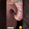 Animation of Digestive System | Gut AI Art | 33