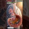 Food Digestion Animation | Gut AI Art | 04