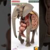 Internal View of Elephant's Digestive System Animation | Animals AI Art | 98