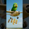 Big women eats all lolipop and parrot brings chocolate 😢 #ai #women #chocolate #parrot #lollipop